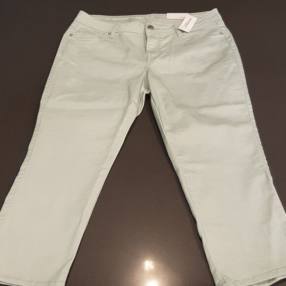 Dressbarn Pale Green Signature Fit Capri NWT - Picture 1 of 12